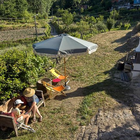 Quinta Da Peca Douro Vinhateiro วีลาเรอัล ภายนอก รูปภาพ