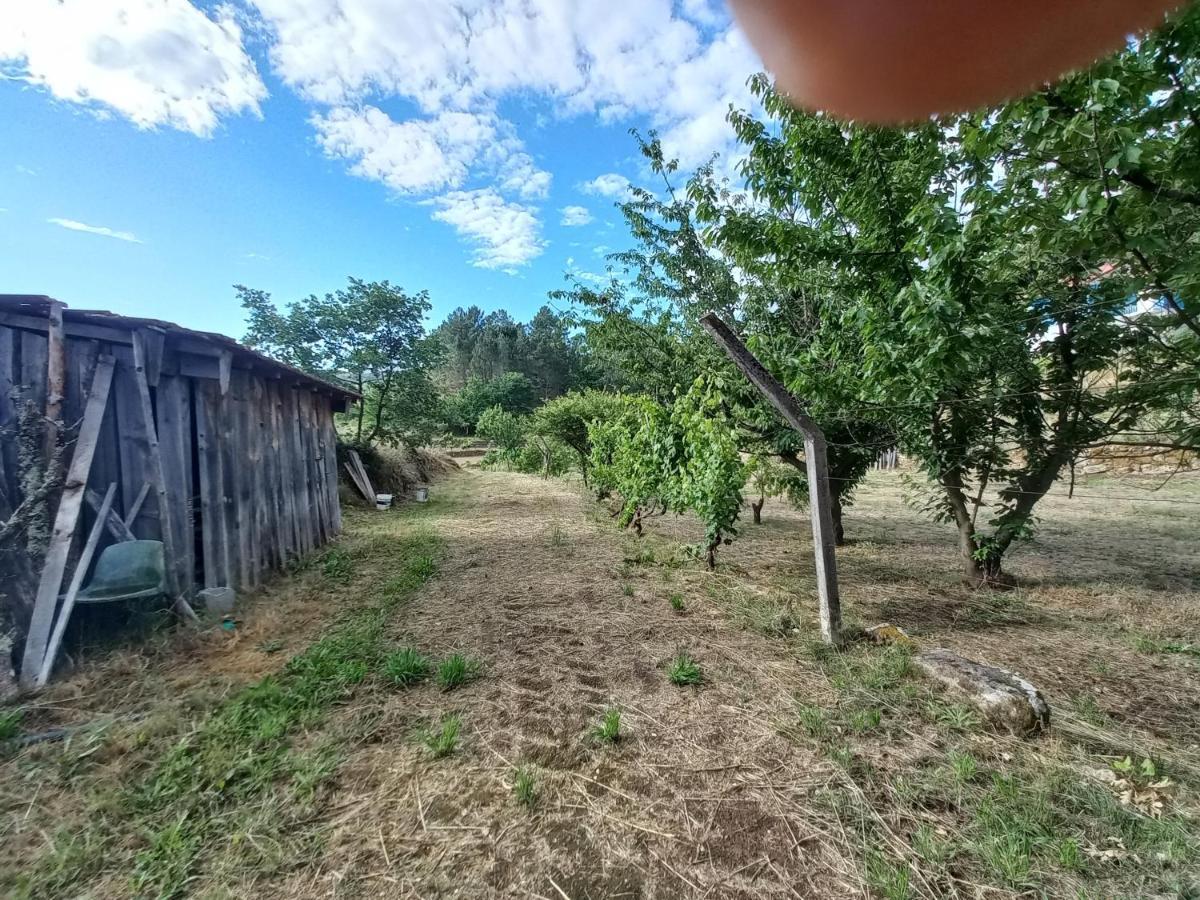 Quinta Da Peca Douro Vinhateiro วีลาเรอัล ภายนอก รูปภาพ