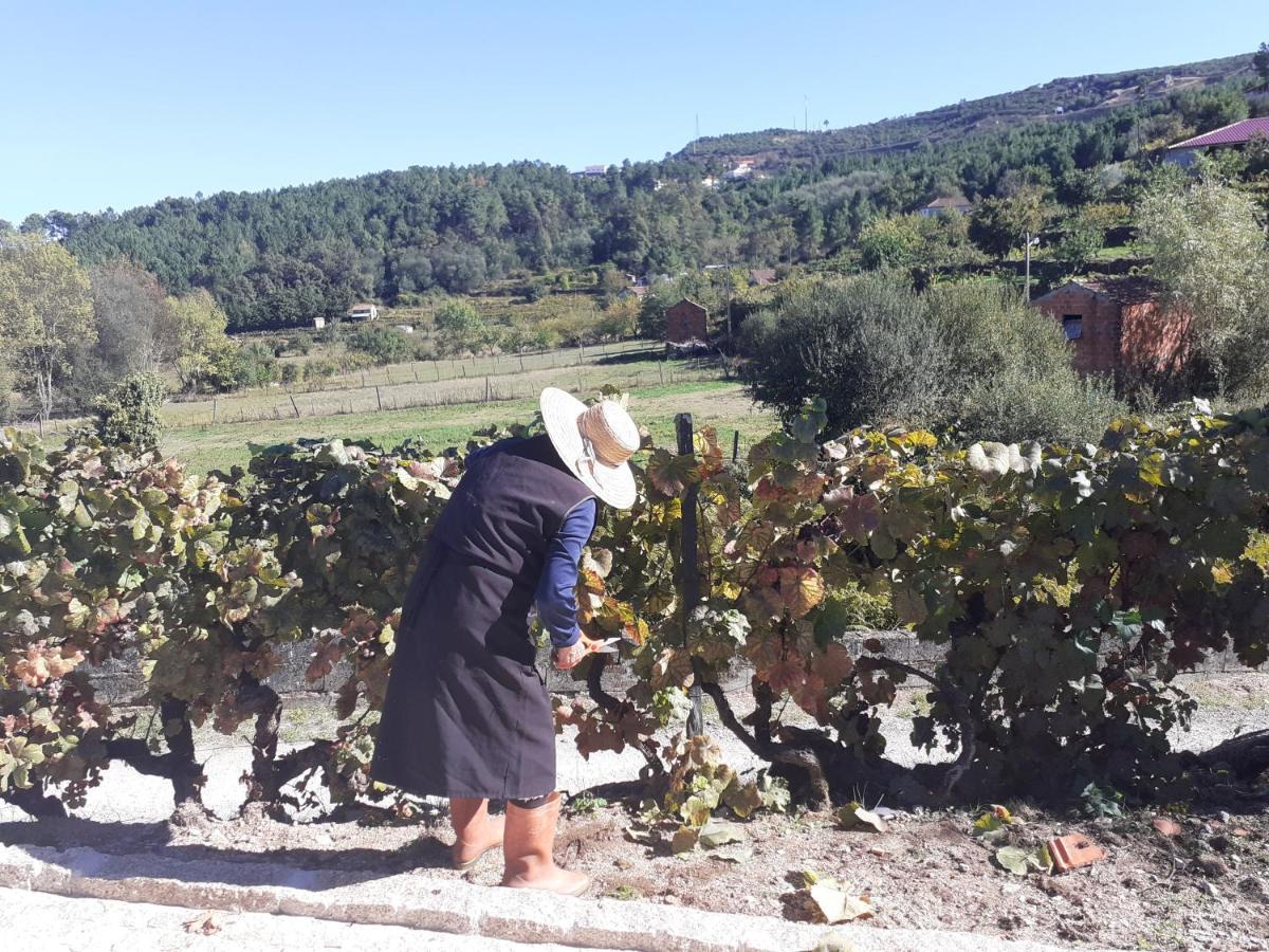 Quinta Da Peca Douro Vinhateiro วีลาเรอัล ภายนอก รูปภาพ