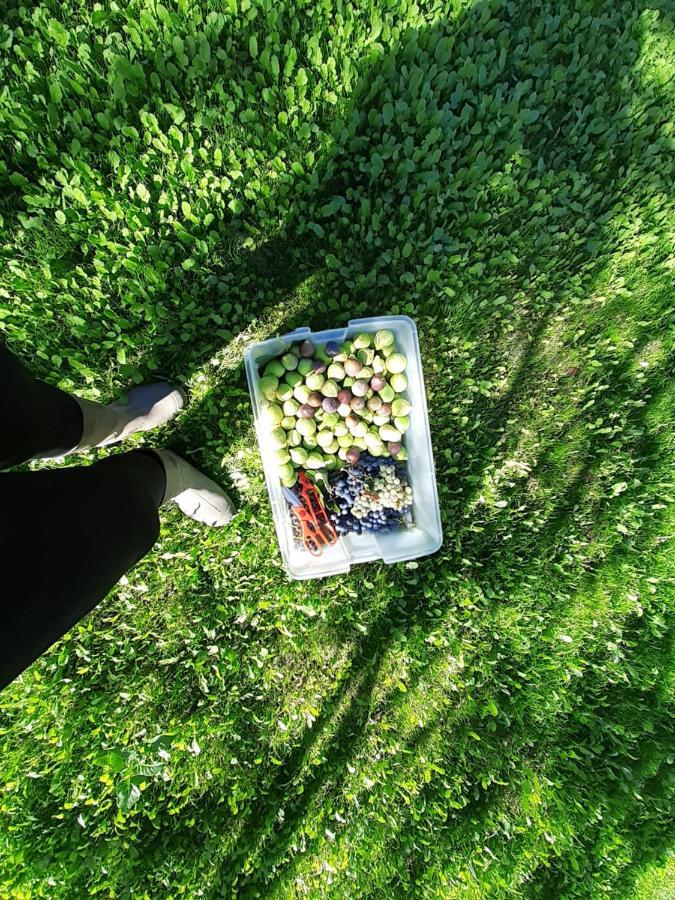 Quinta Da Peca Douro Vinhateiro วีลาเรอัล ภายนอก รูปภาพ