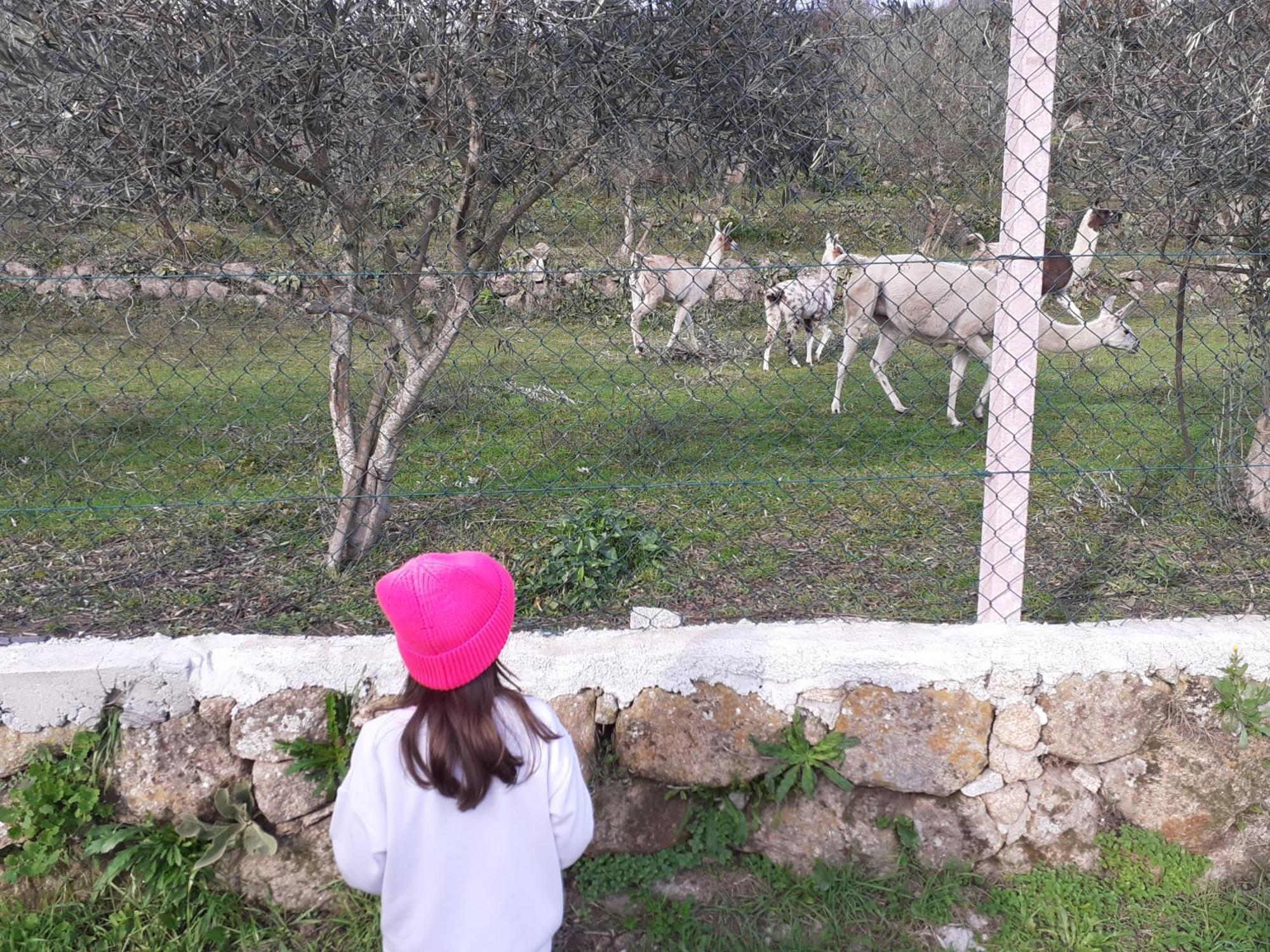 Quinta Da Peca Douro Vinhateiro วีลาเรอัล ภายนอก รูปภาพ