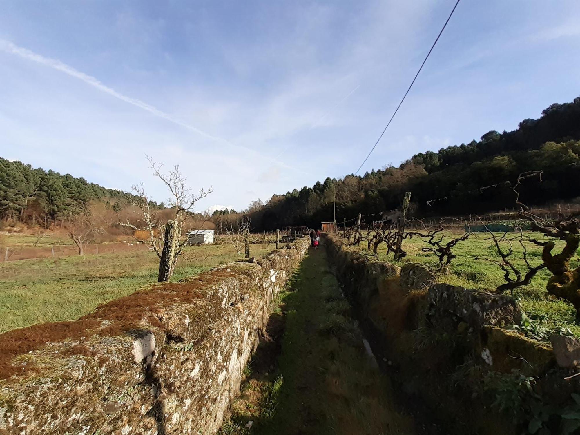 Quinta Da Peca Douro Vinhateiro วีลาเรอัล ภายนอก รูปภาพ