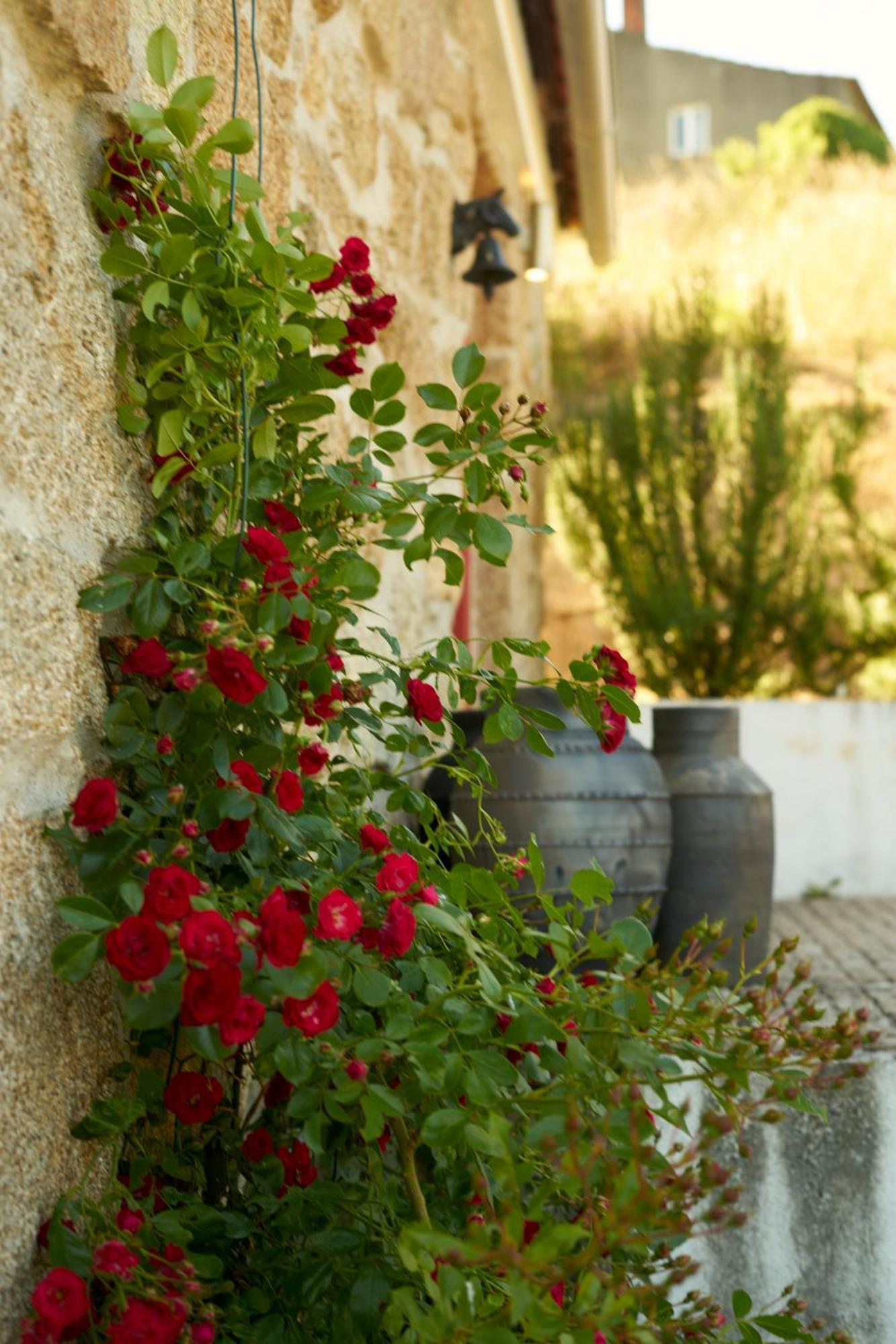 Quinta Da Peca Douro Vinhateiro วีลาเรอัล ภายนอก รูปภาพ